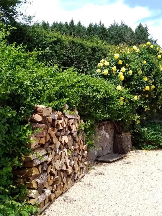 La Maison Du Potager Saint-Racho ภายนอก รูปภาพ