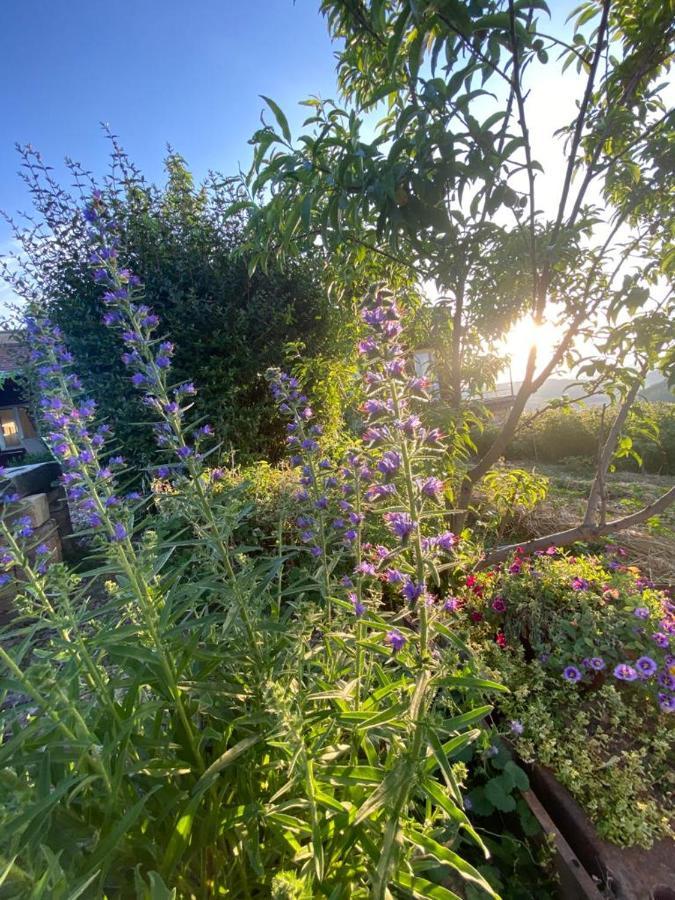 La Maison Du Potager Saint-Racho ภายนอก รูปภาพ