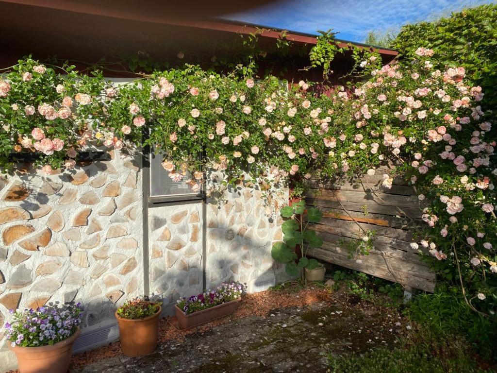 La Maison Du Potager Saint-Racho ภายนอก รูปภาพ