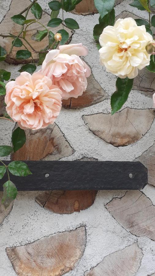 La Maison Du Potager Saint-Racho ภายนอก รูปภาพ